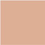 204 True Apricot