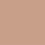 105 Bright Nude