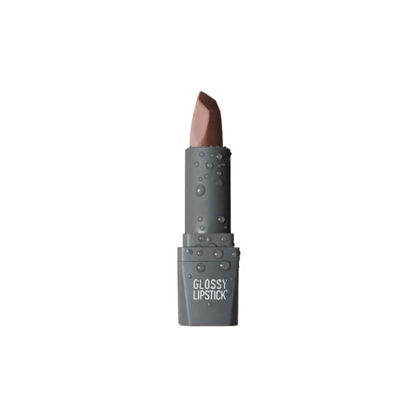 Glossy-Lipstick-308_col.argansdp.com